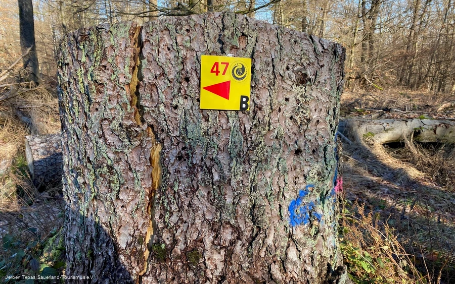 Runde B, mit ca. 7km, Tour 47