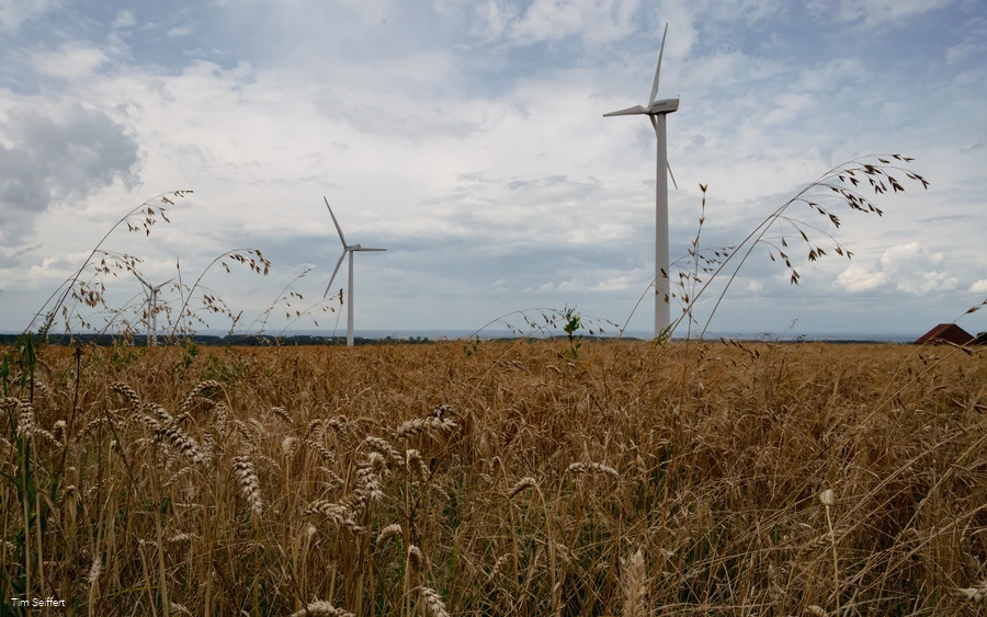 Acker (c) Tim Seiffert.jpeg