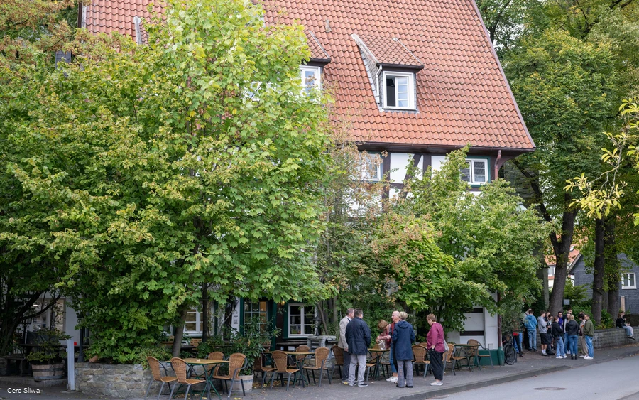 20240927_Zwiebel2.jpg