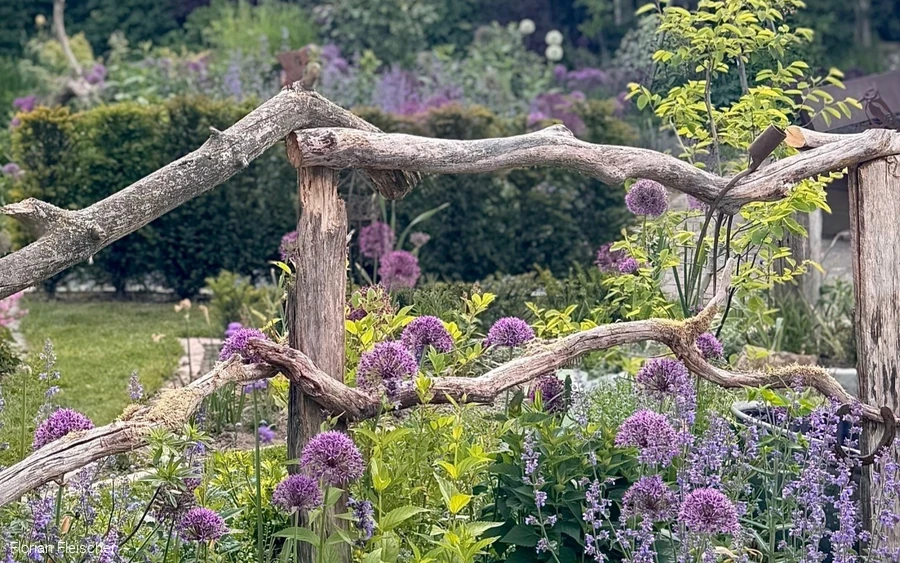 Zaun mit Blumen umwachsen