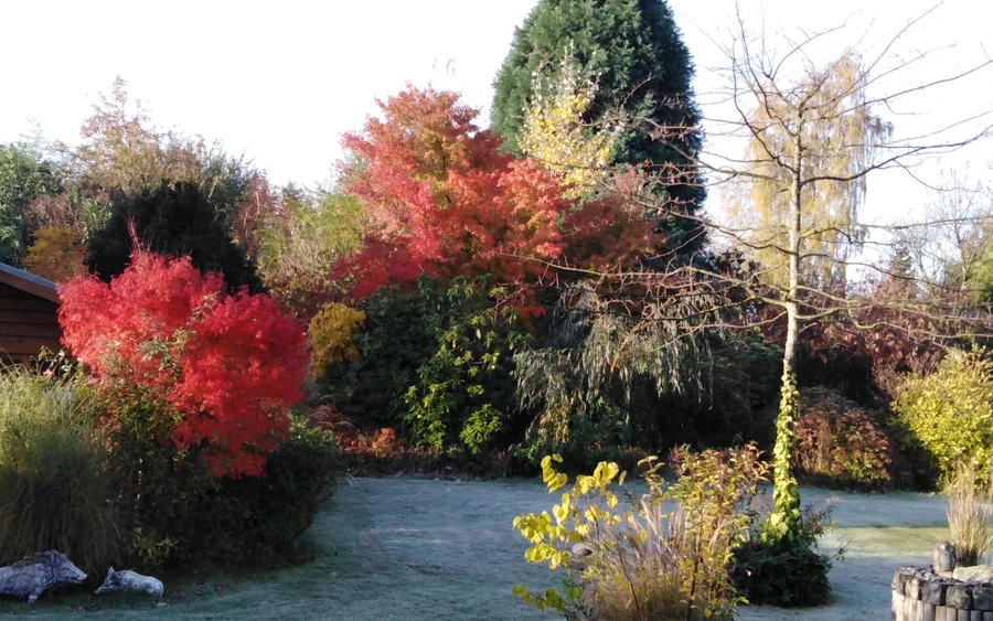 11_Natur, Bambus, Erlebnisgarten _ Brinkmann