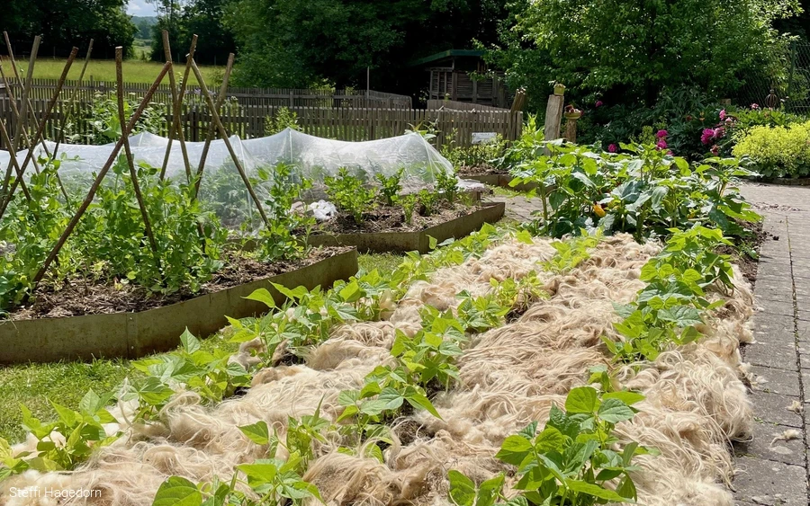 23_Nutzgarten mit lebendiger Vielfalt 2