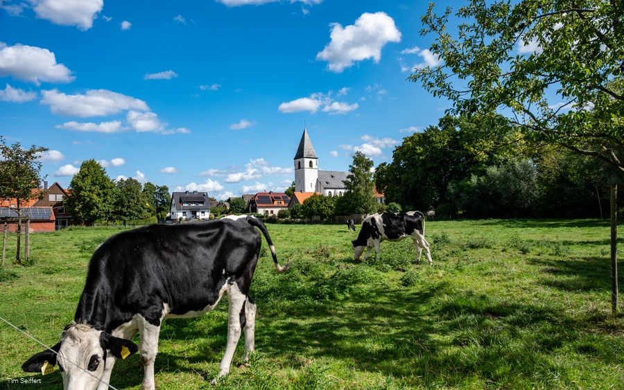 Welver-Dinker_Ahseweg_2025(c) Tim Seiffert.jpeg