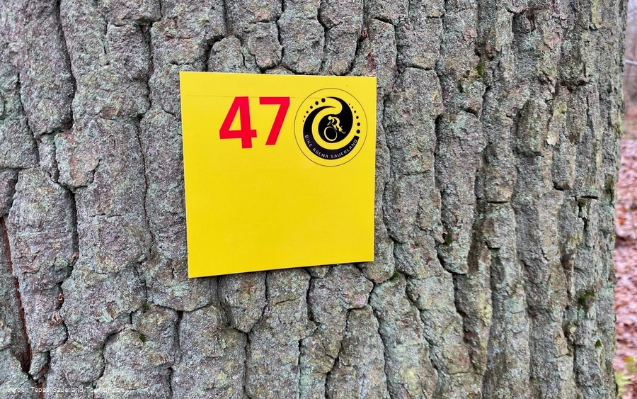 Tour 47