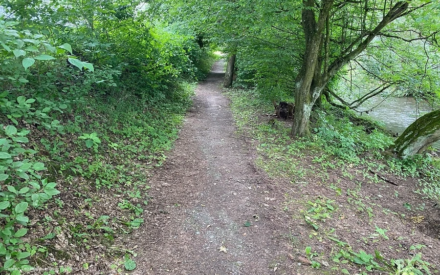 Rundwanderweg Haus Welschenbeck