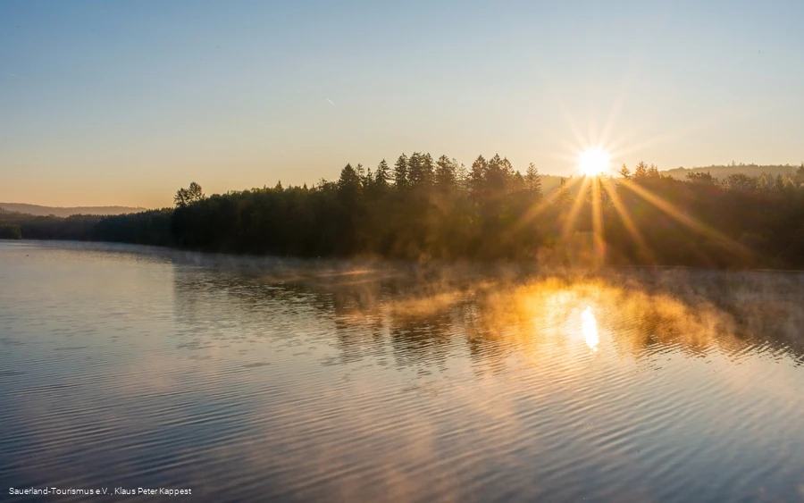 Morgennebel über dem Möhnesee