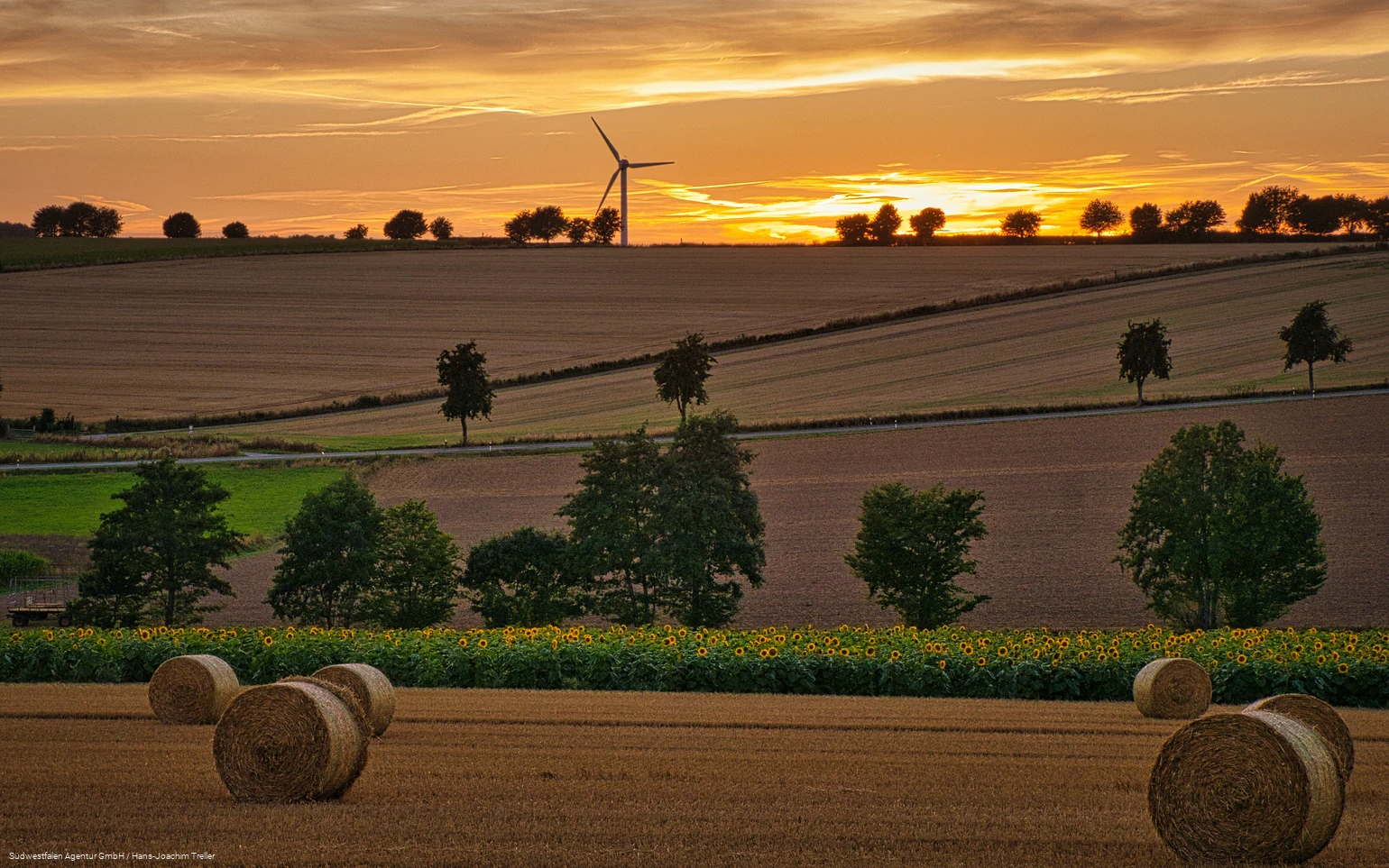 Über die Haar bei Sonnenuntergang