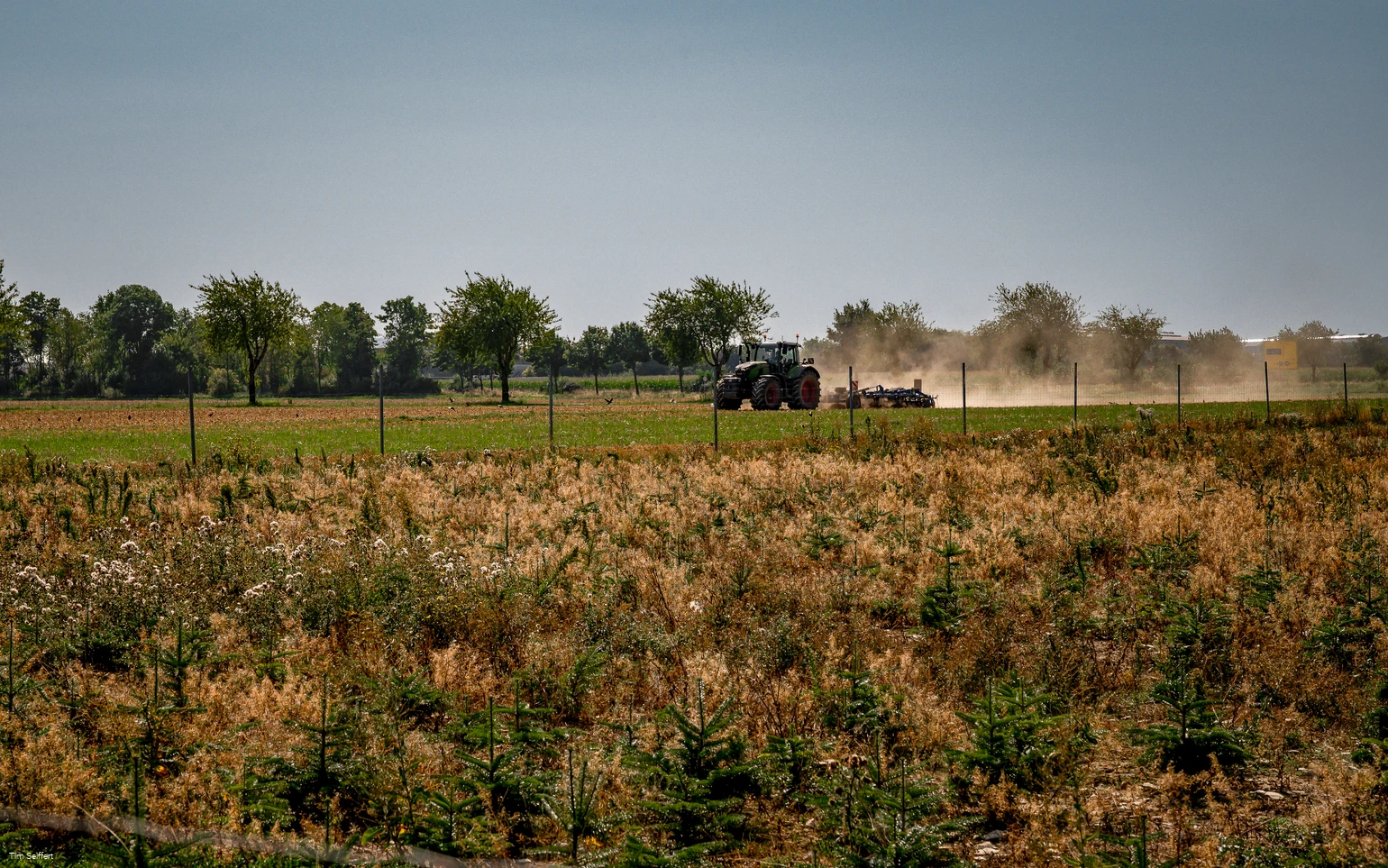 Anröchte-Klieve_Feld mit Traktor_2025 (c) Tim Seiffert.jpeg