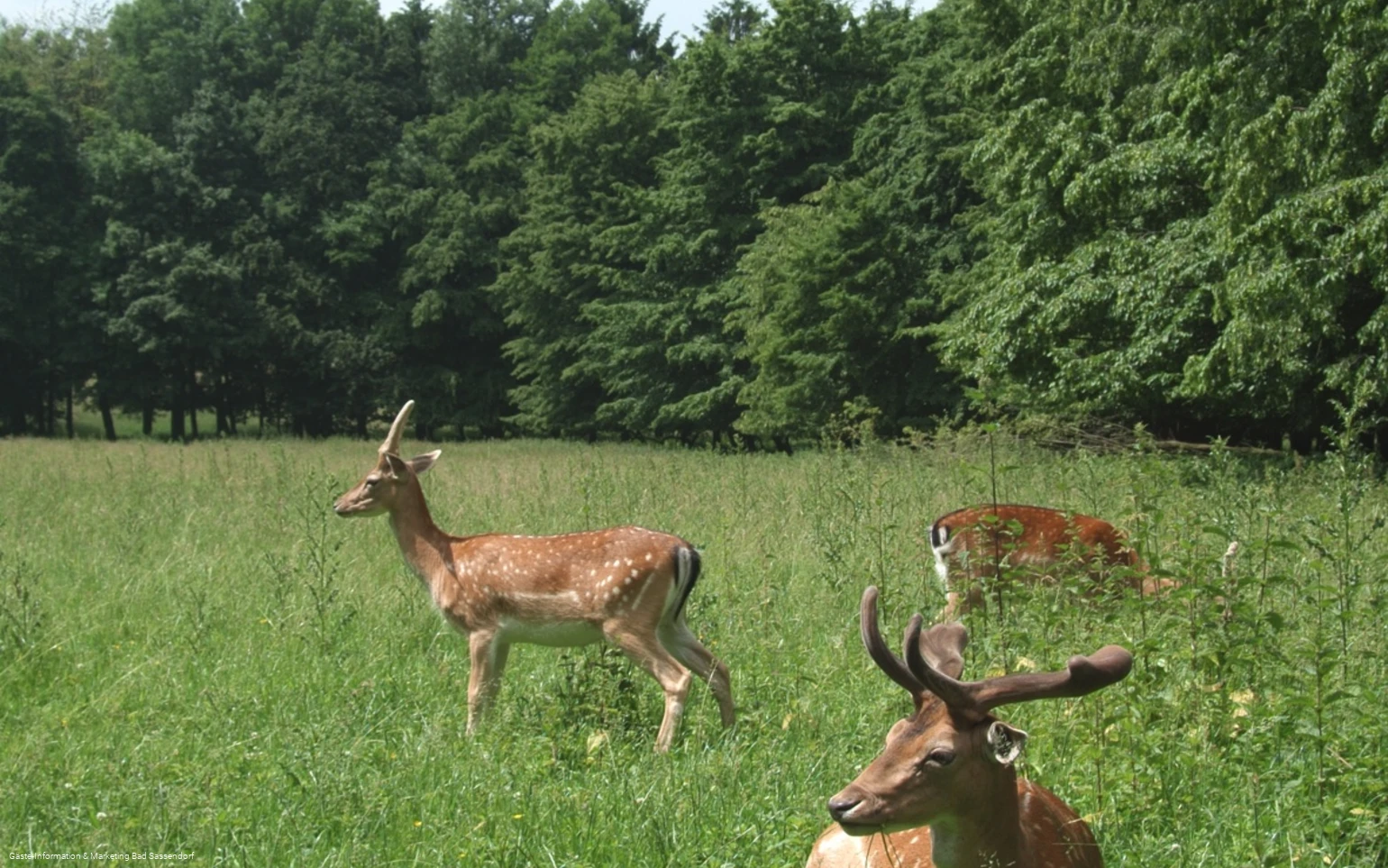 Freiherr-von-Wintzingerode-Park