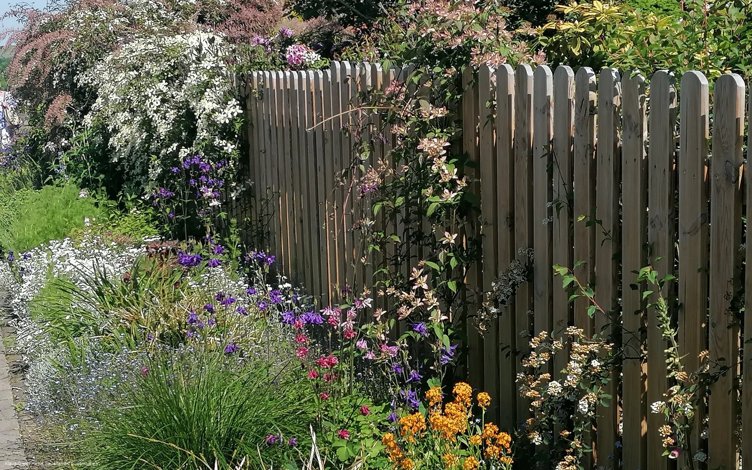Gärten auf der Stadtmauer