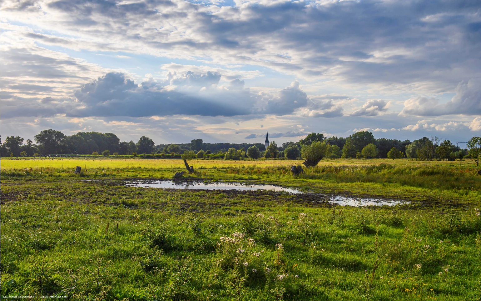 Naturschutz- und Moorabbaugebiet Woeste - Bad Sassendorf