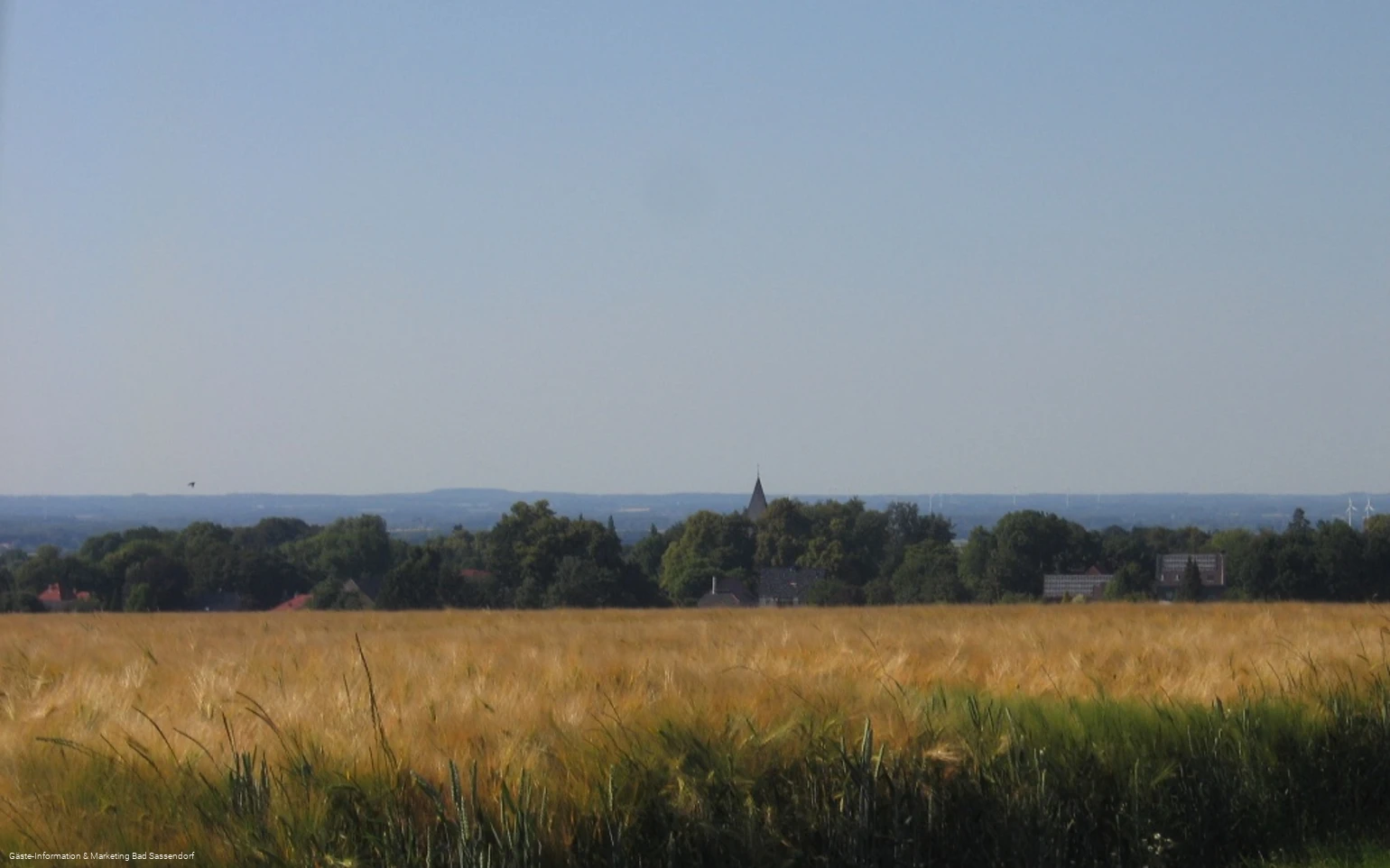 Blick auf Neuengeseke