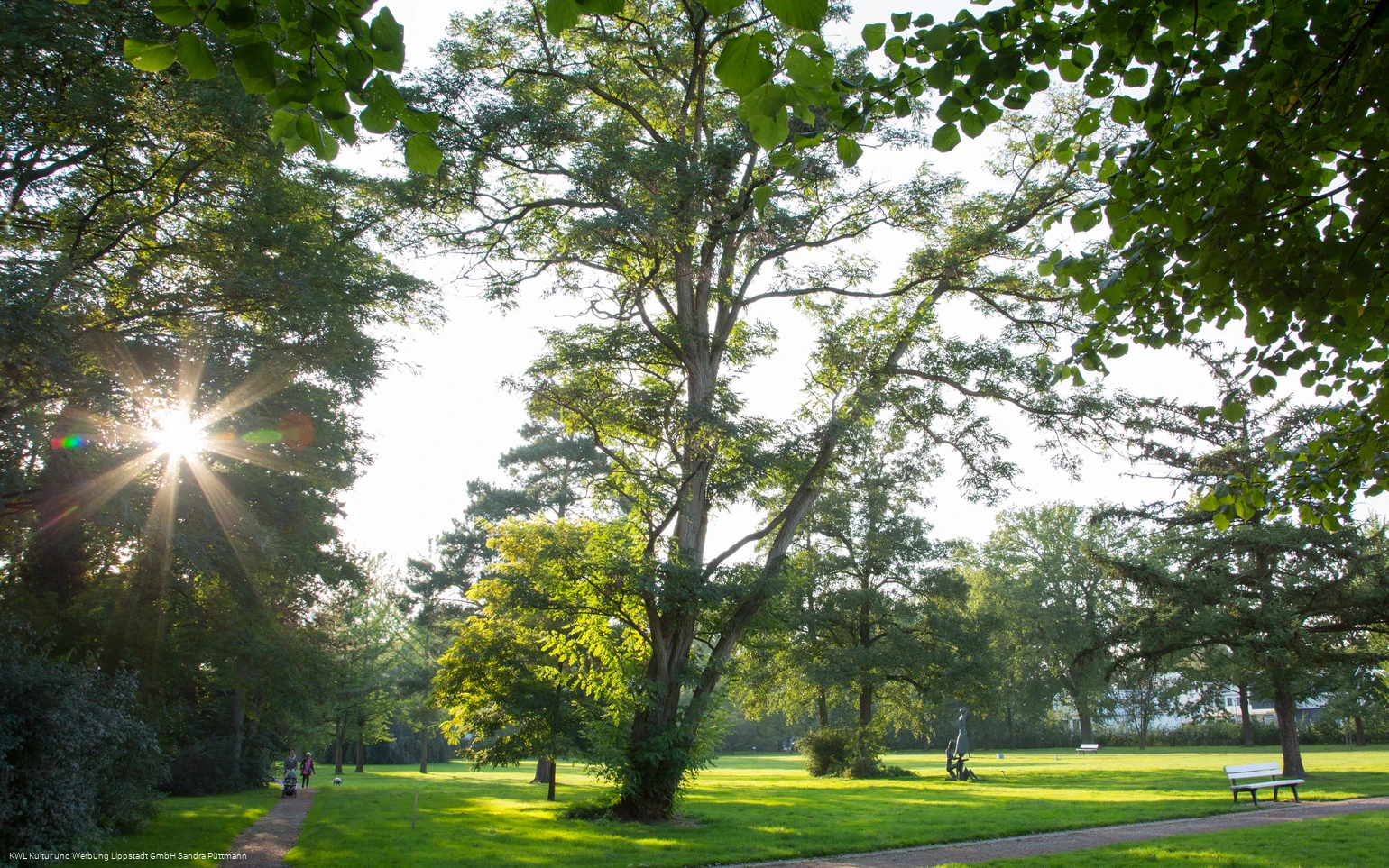 Bad Waldliesborn Kurpark