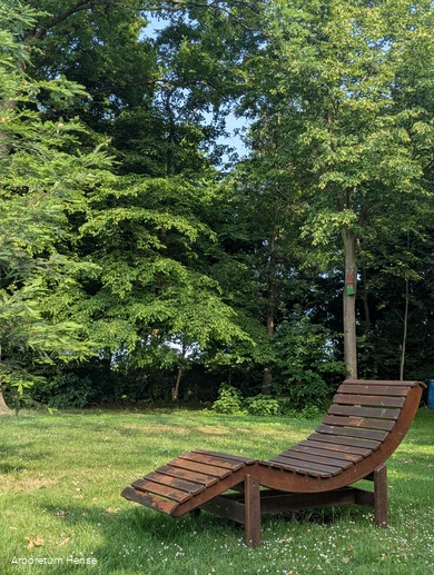 Eine Holzliege steht auf der Wiese im Vordergrund und im Hintergrund stehen einige Bäume