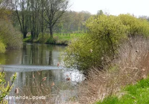 "Altarm" der Lippe