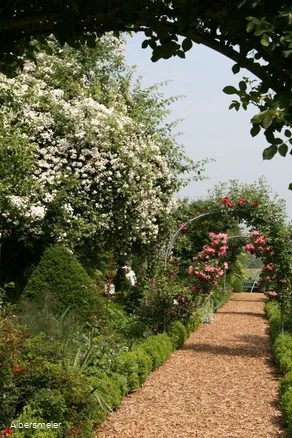 Feldgarten Schoneberg