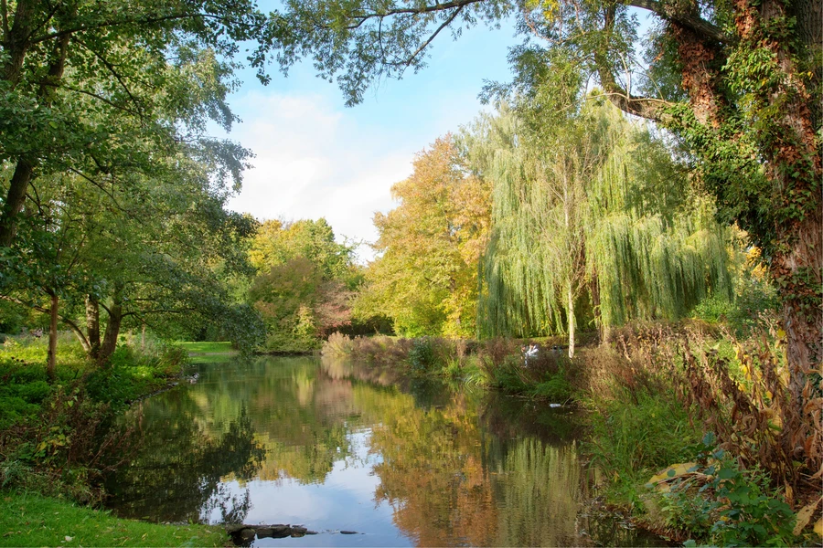 Werl - WERLS GRÜNE LUNGE