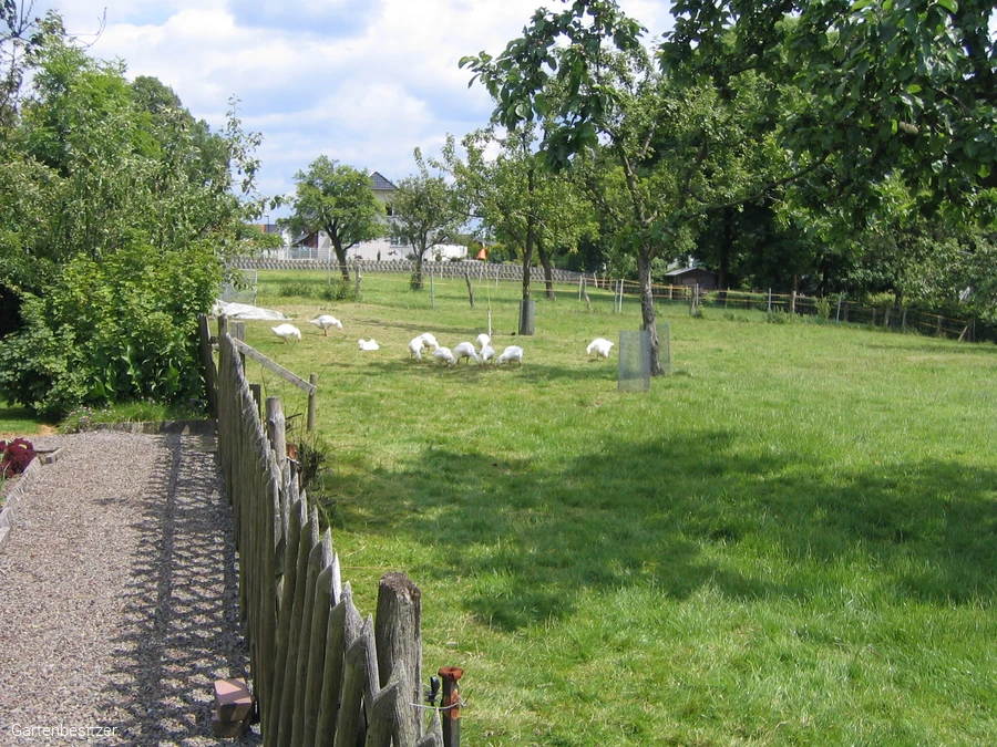 1_Pl&uuml;mpe-Heershoff