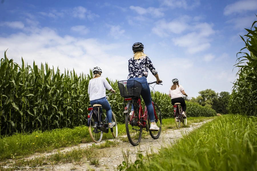 RadReiseRegion HellwegB&ouml;rde - Drei Frauen fahren auf einem Feldweg durch ein Maisfeld