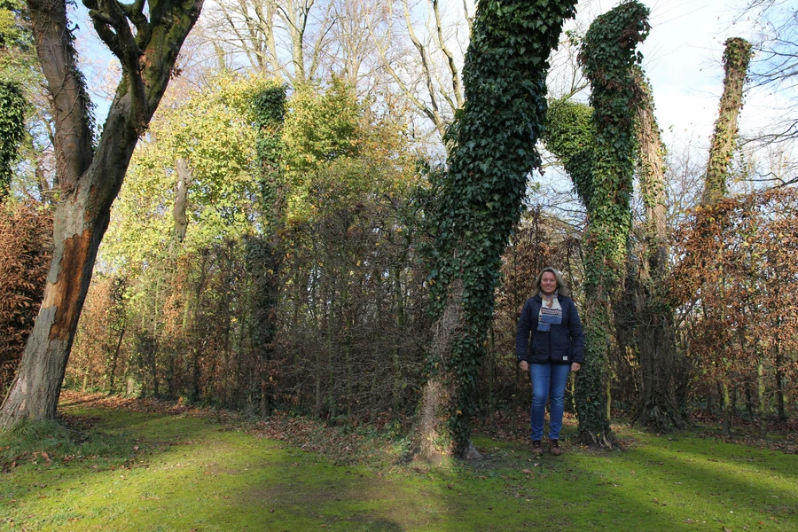 Lippetal - BAROCKE GARTENKUNST