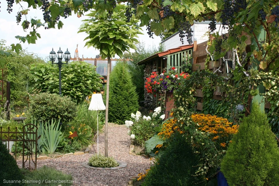 Blütenpracht querbeet