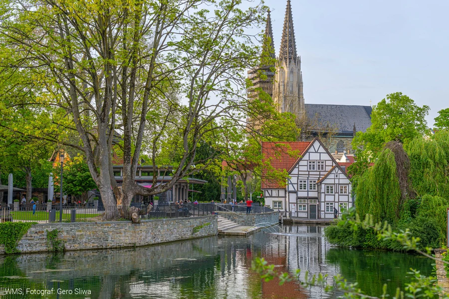 Der gro&szlig;e Teich in Soest. Im Hintergrund ist ein Fachwerkhaus zu sehen. Das ist die Tourist-Information.