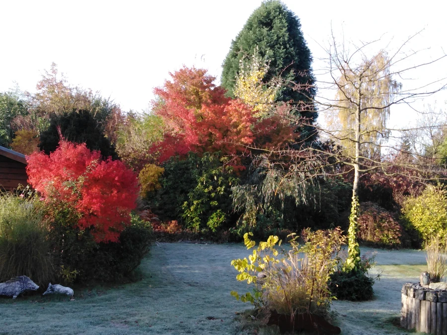 11_Natur, Bambus, Erlebnisgarten _ Brinkmann