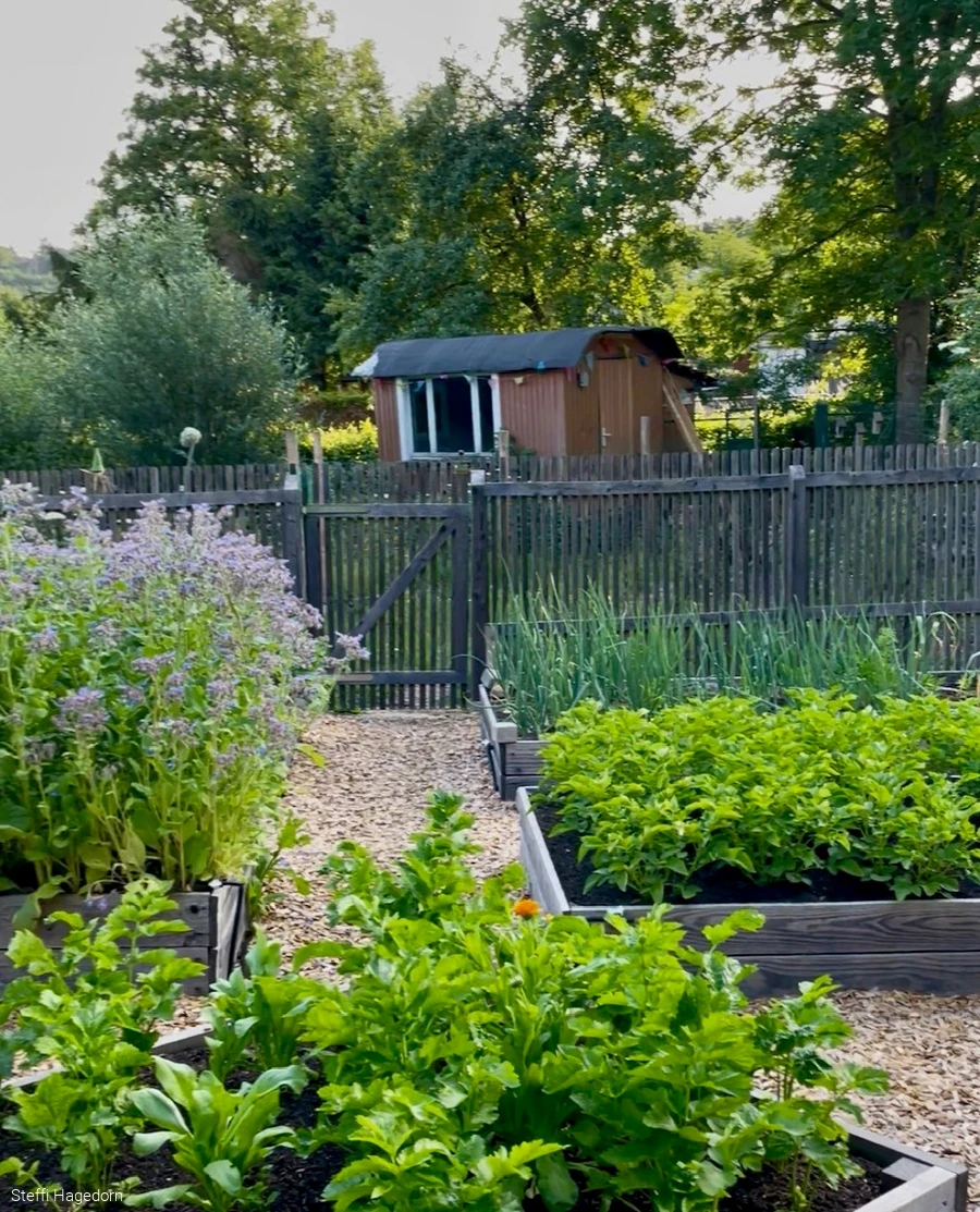 Garten mit Zaun und Gem&uuml;sebeeten aus Holz
