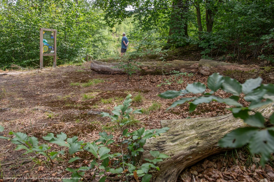 Tafel Wald Erlebnispfad Möhnesee-Südufer