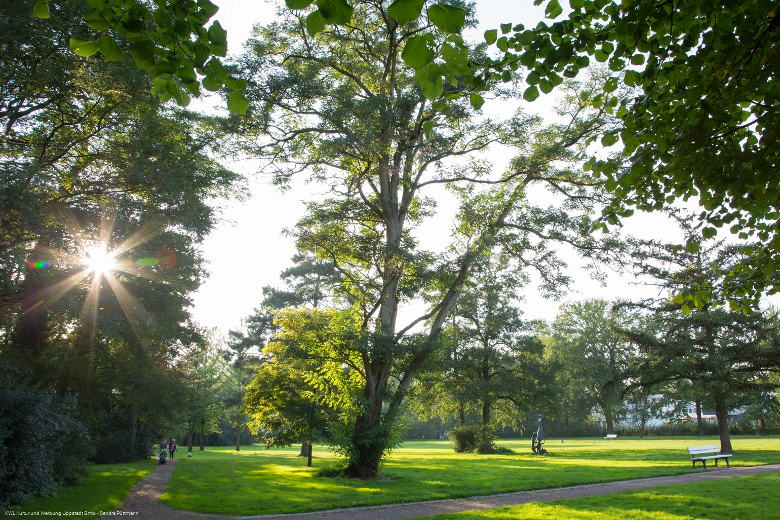 Bad Waldliesborn Kurpark
