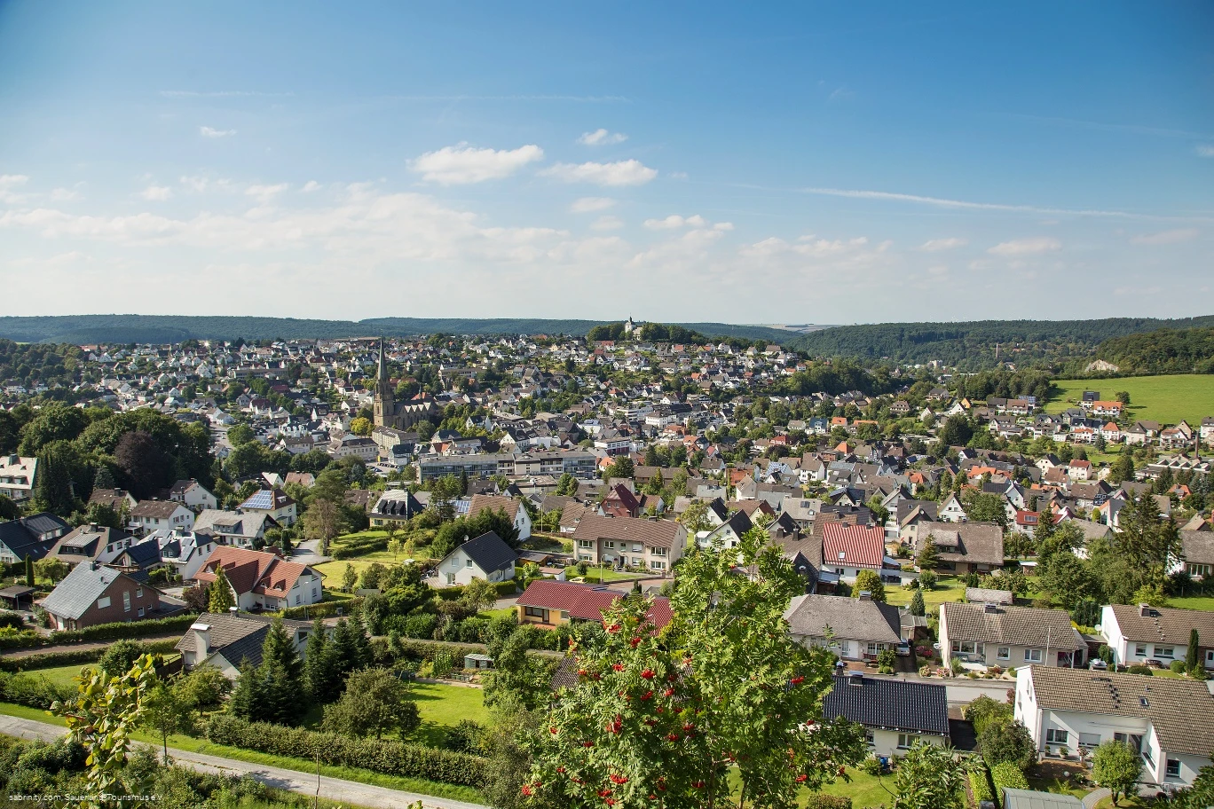 Blick vom Piusberg über Warstein