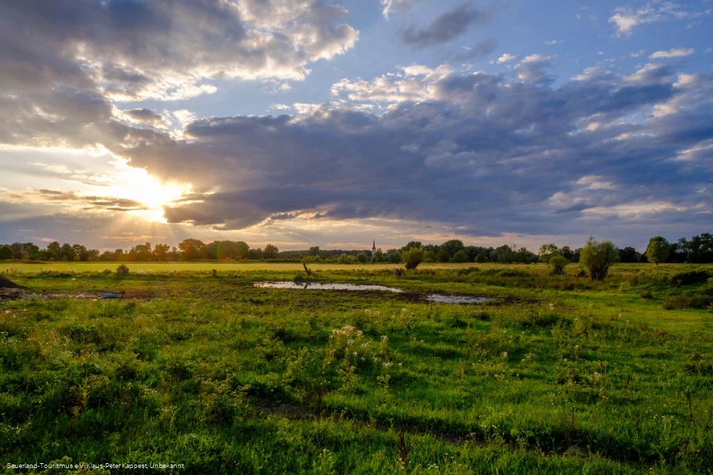 Naturschutzgebiet Woeste Bad Sassendorf