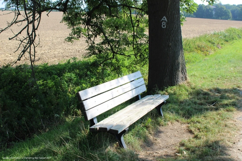 Pausenbank an der Subbieke