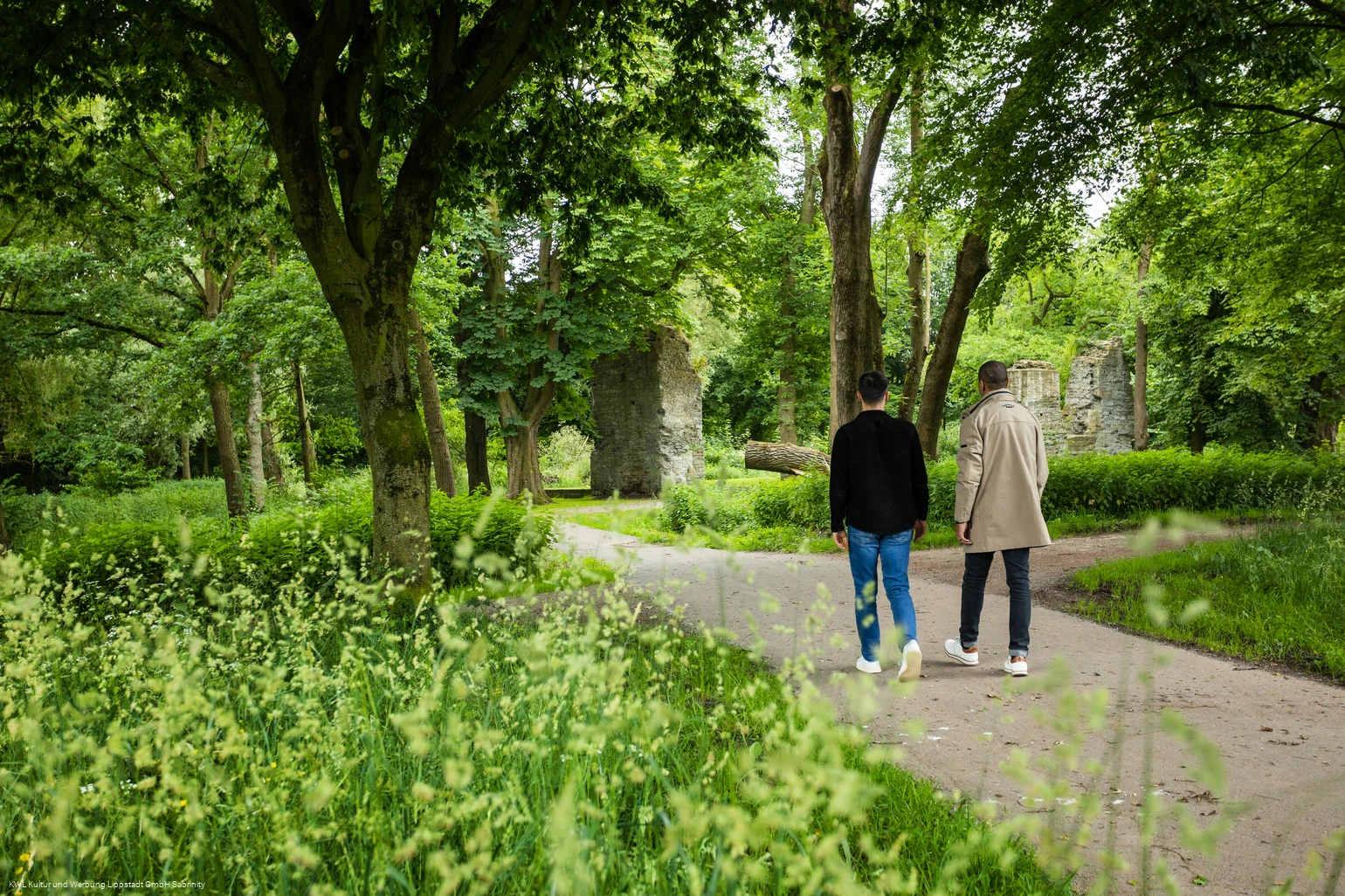Wald in Lippstadt