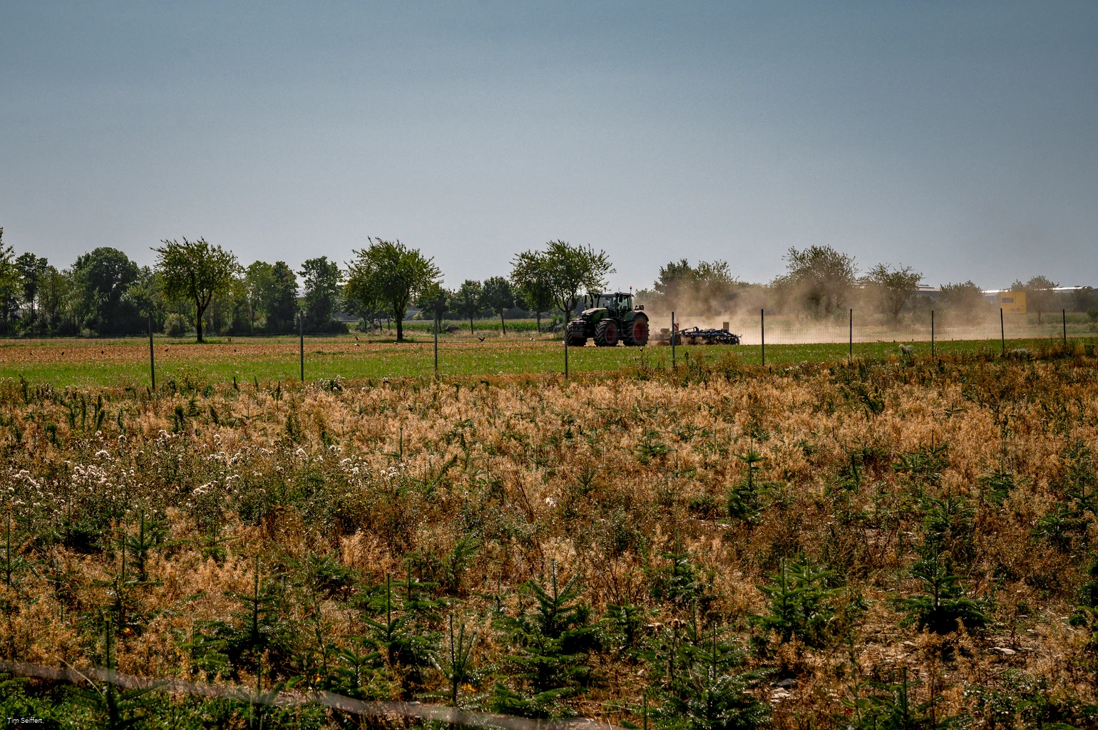 Anröchte-Klieve_Feld mit Traktor_2025 (c) Tim Seiffert.jpeg