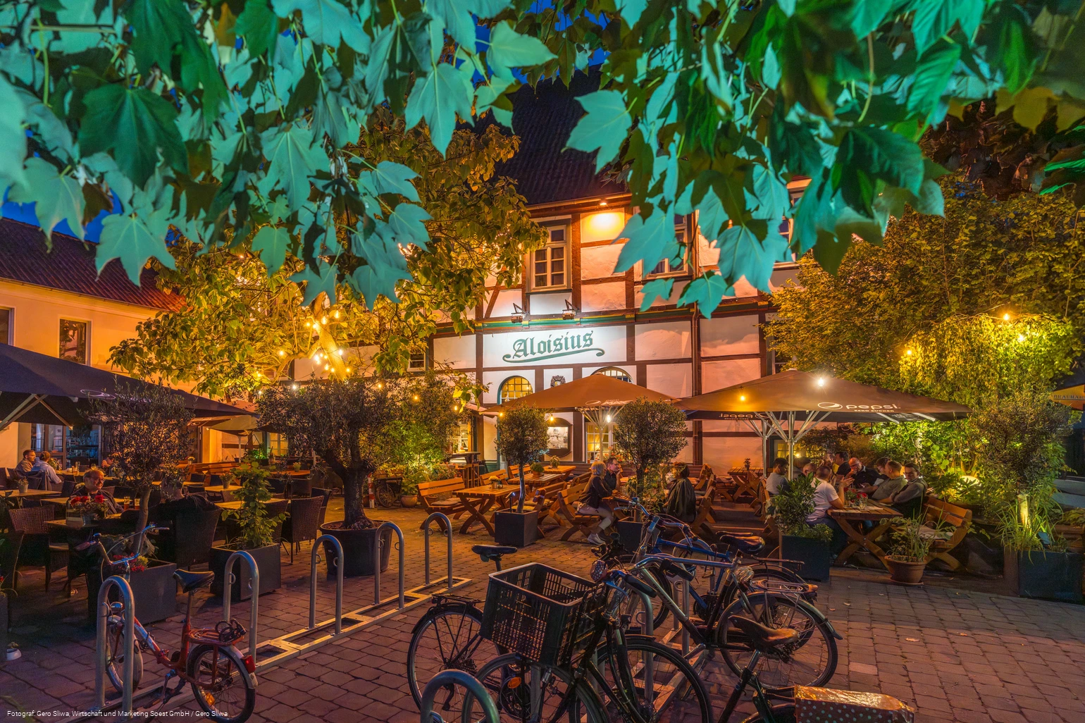 20250723_Aloisius 1.jpg