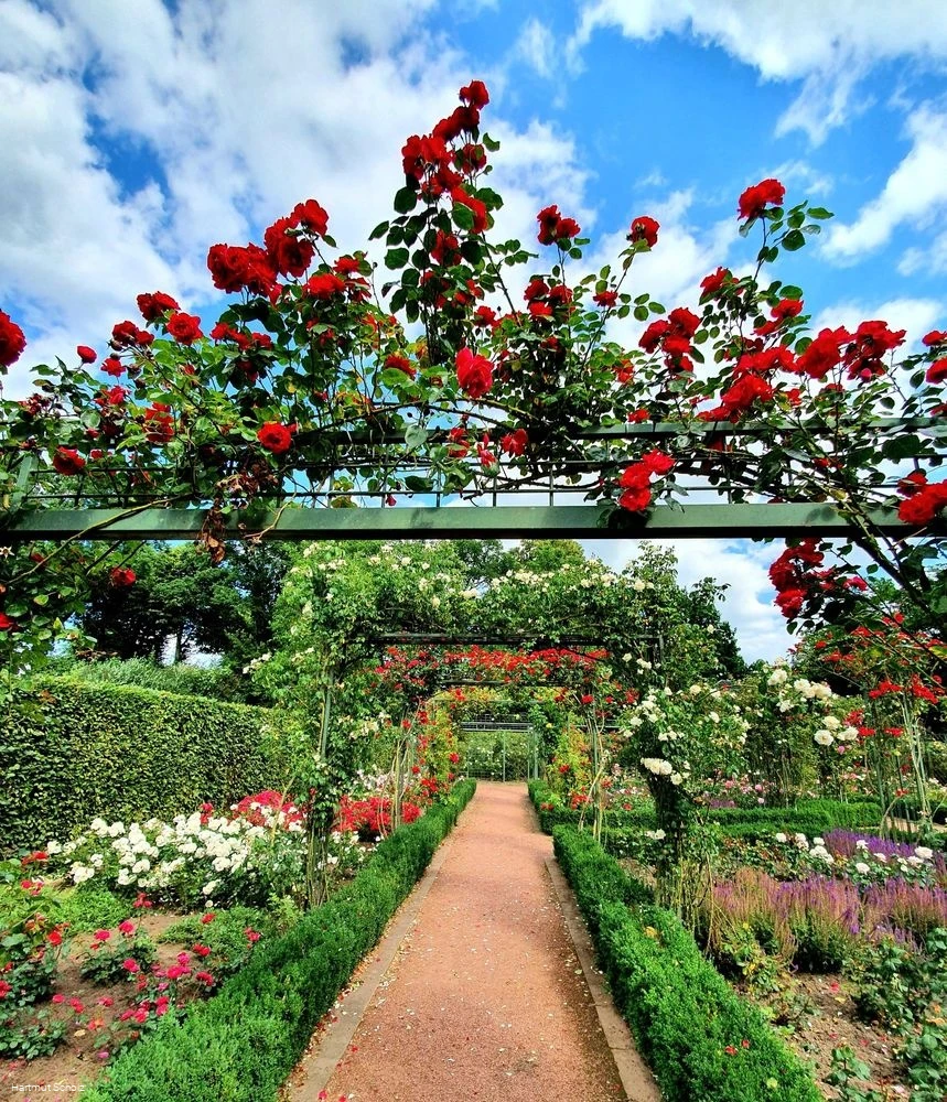 Rosengarten Bad Sassendorf