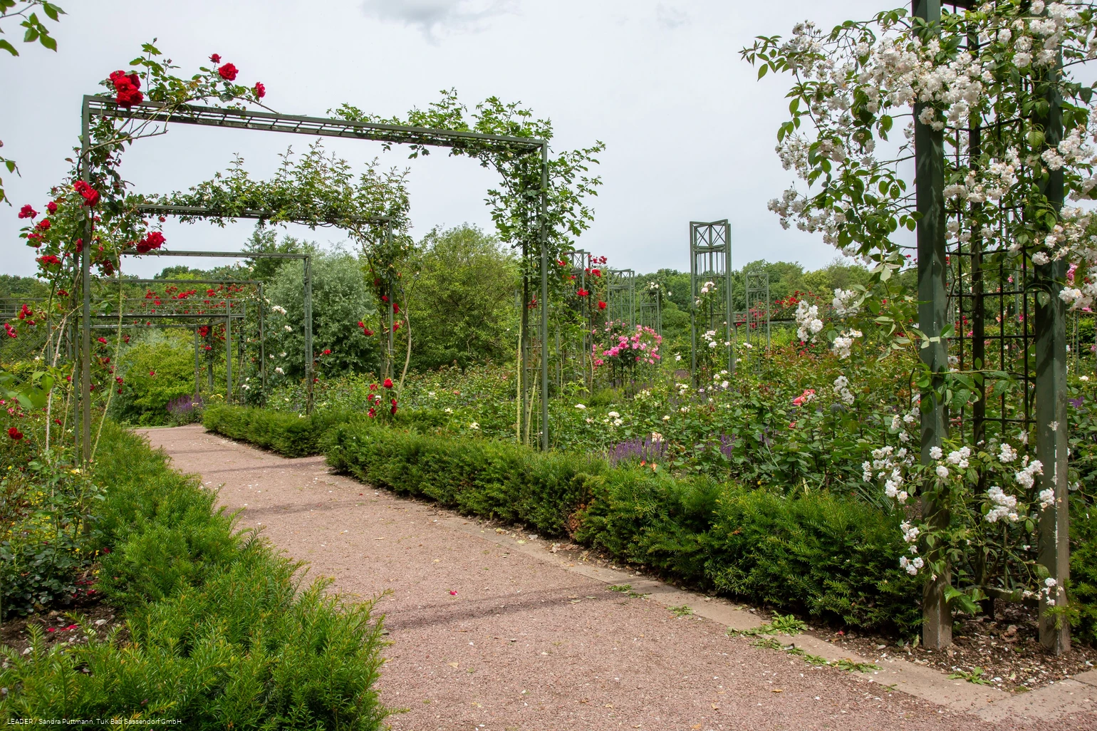 Rosengarten Bad Sassendorf