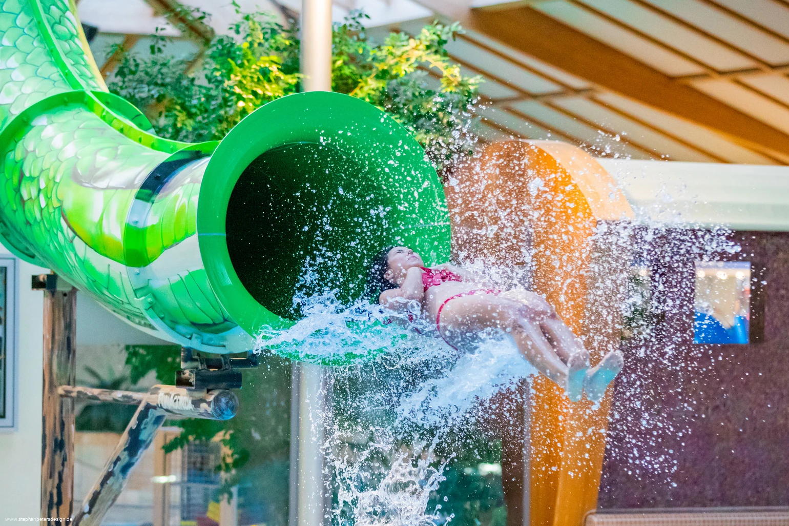 FunAconda (c) stephanpetersdesign.jpg