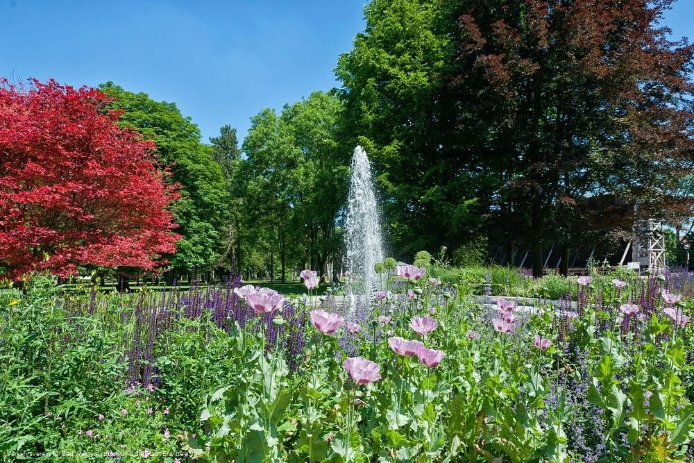 Brunnen Kurpark