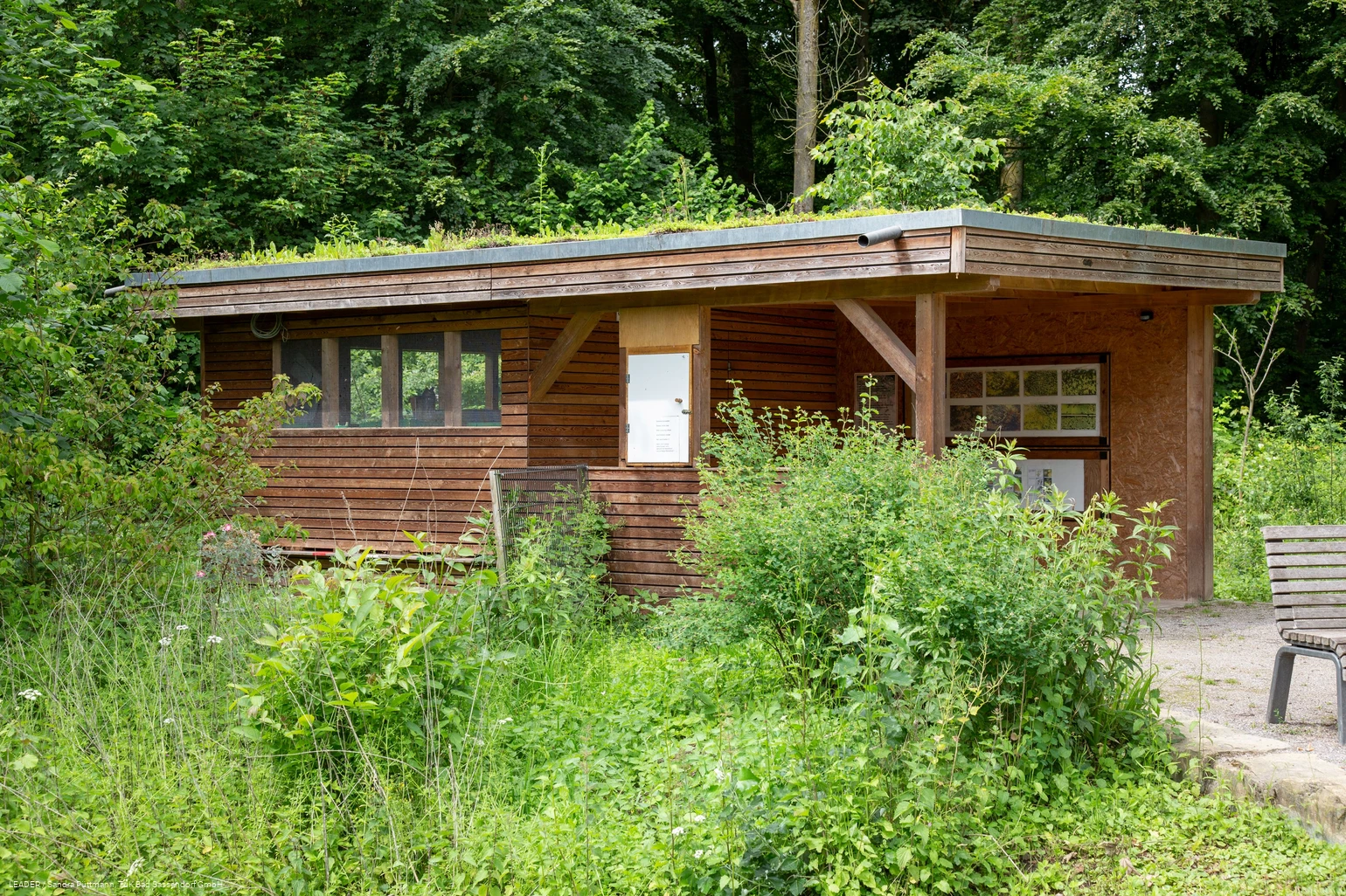 Bienenhaus im Kurpark Bad Sassendorf