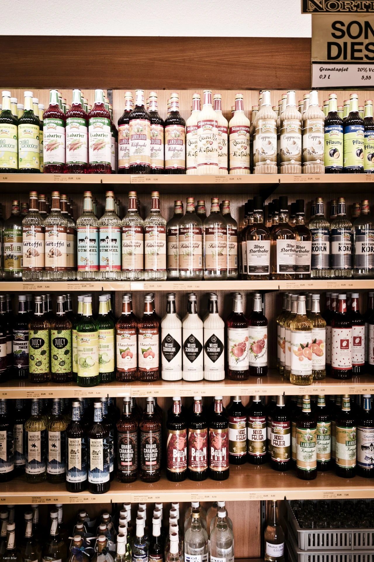 LIPPETAL - Northoff (Biller).jpg