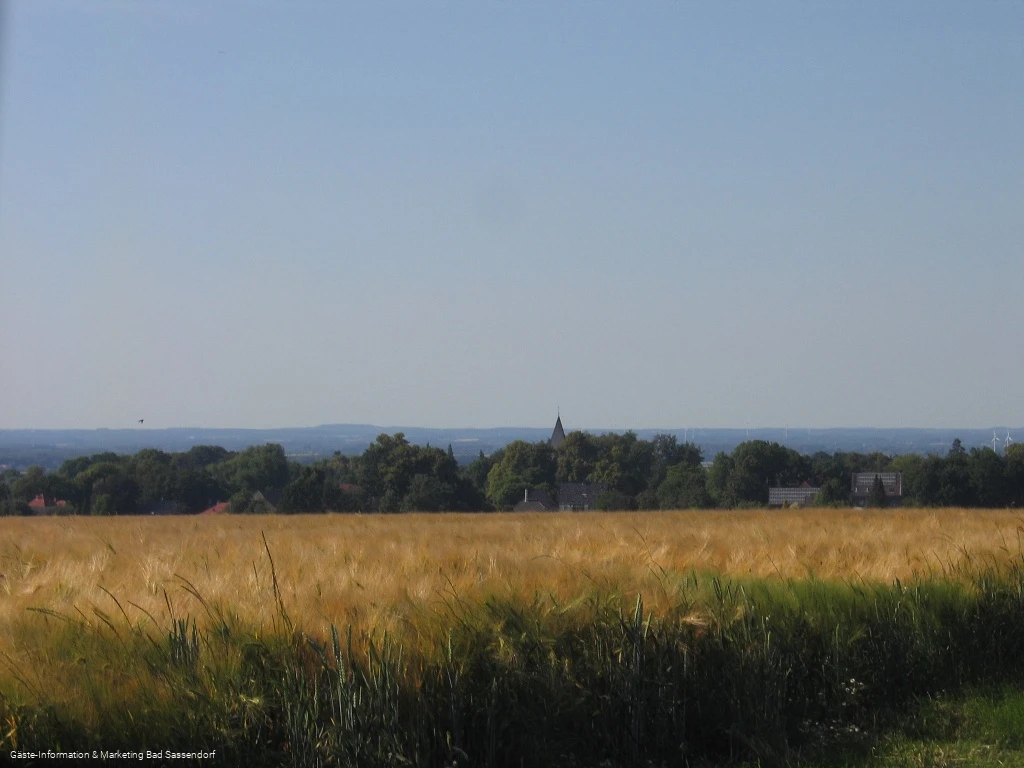 Blick auf Neuengeseke