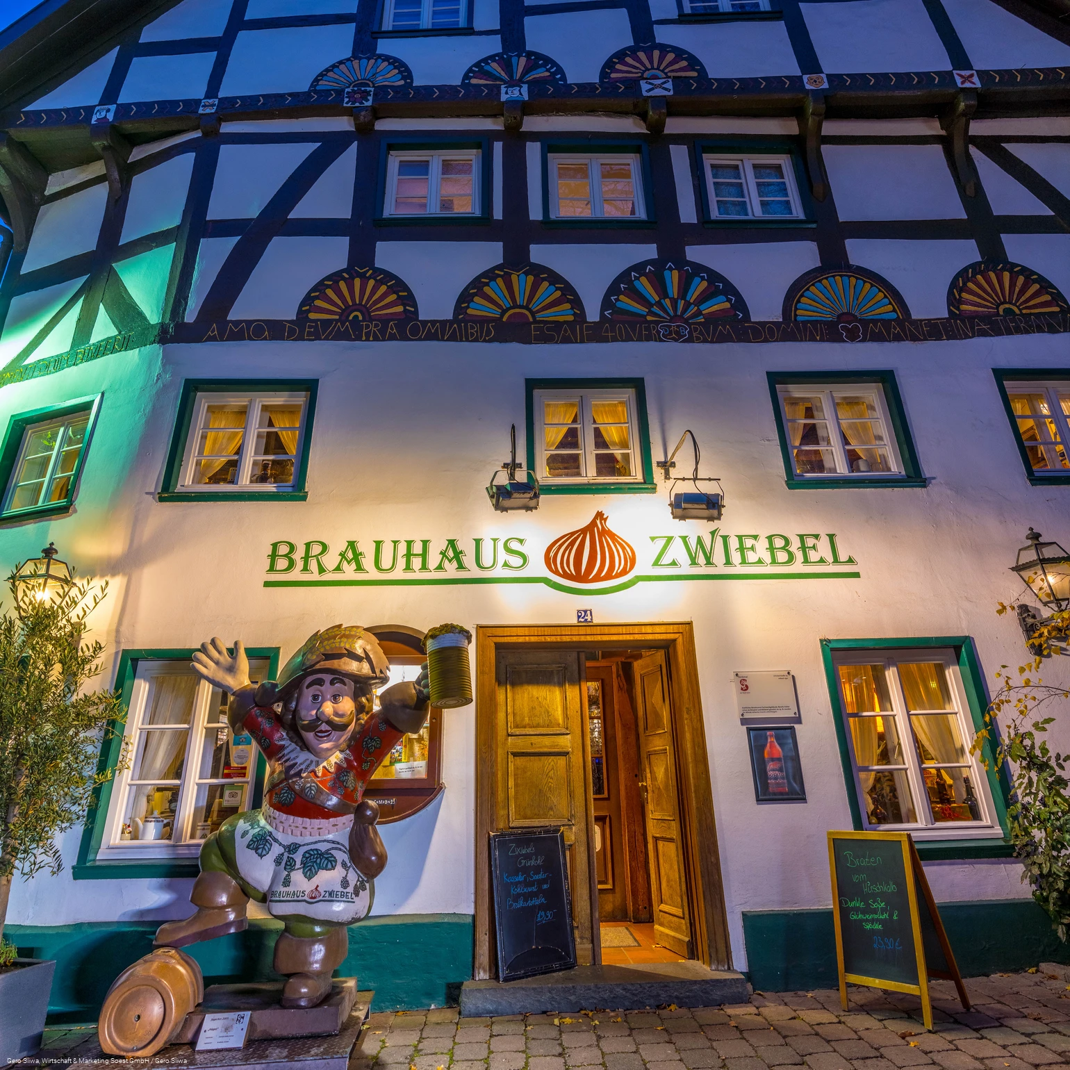 Zwiebel