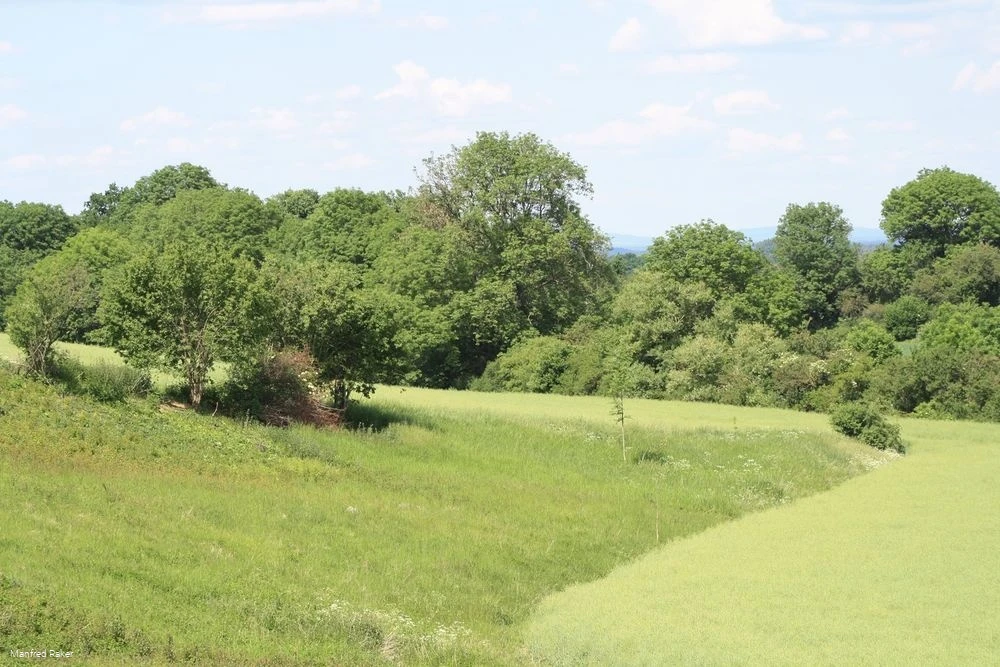 Blick auf die Westerschledde Blick auf die Westerschledde
