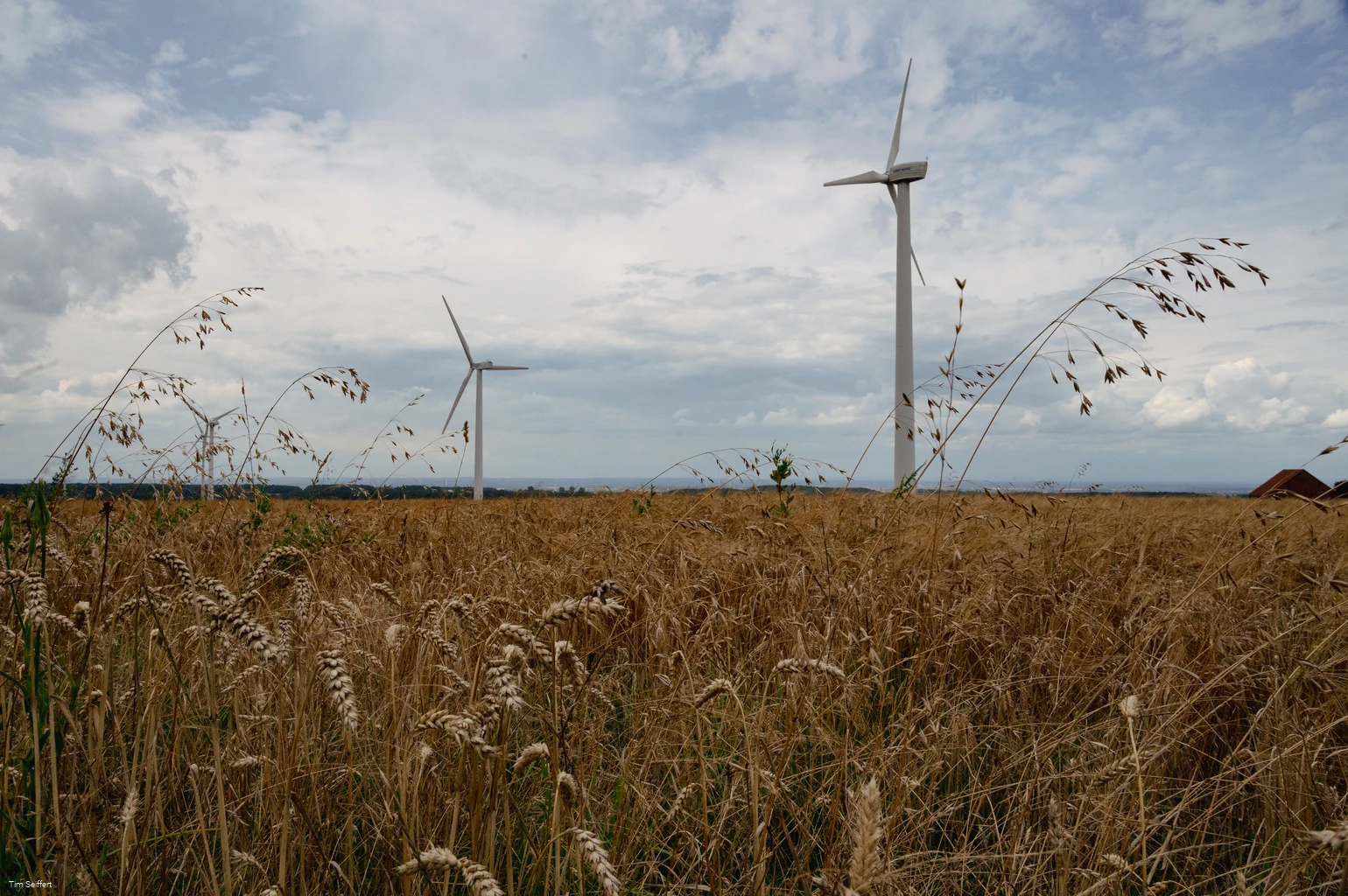 Acker (c) Tim Seiffert.jpeg