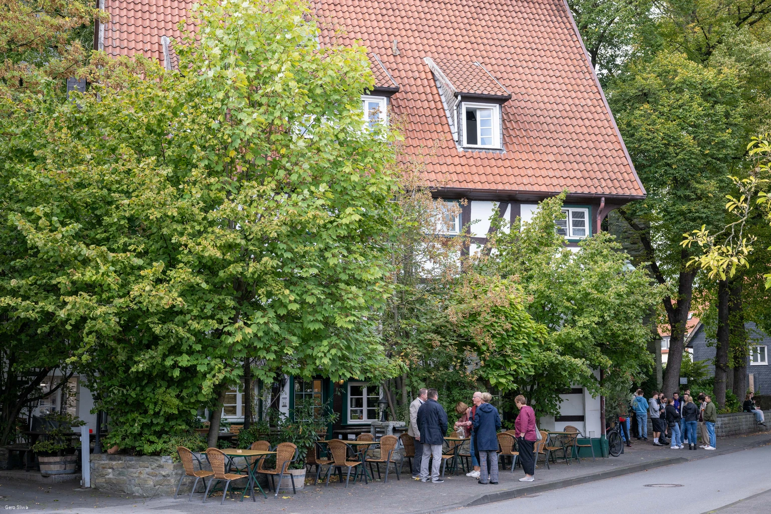 20240927_Zwiebel2.jpg