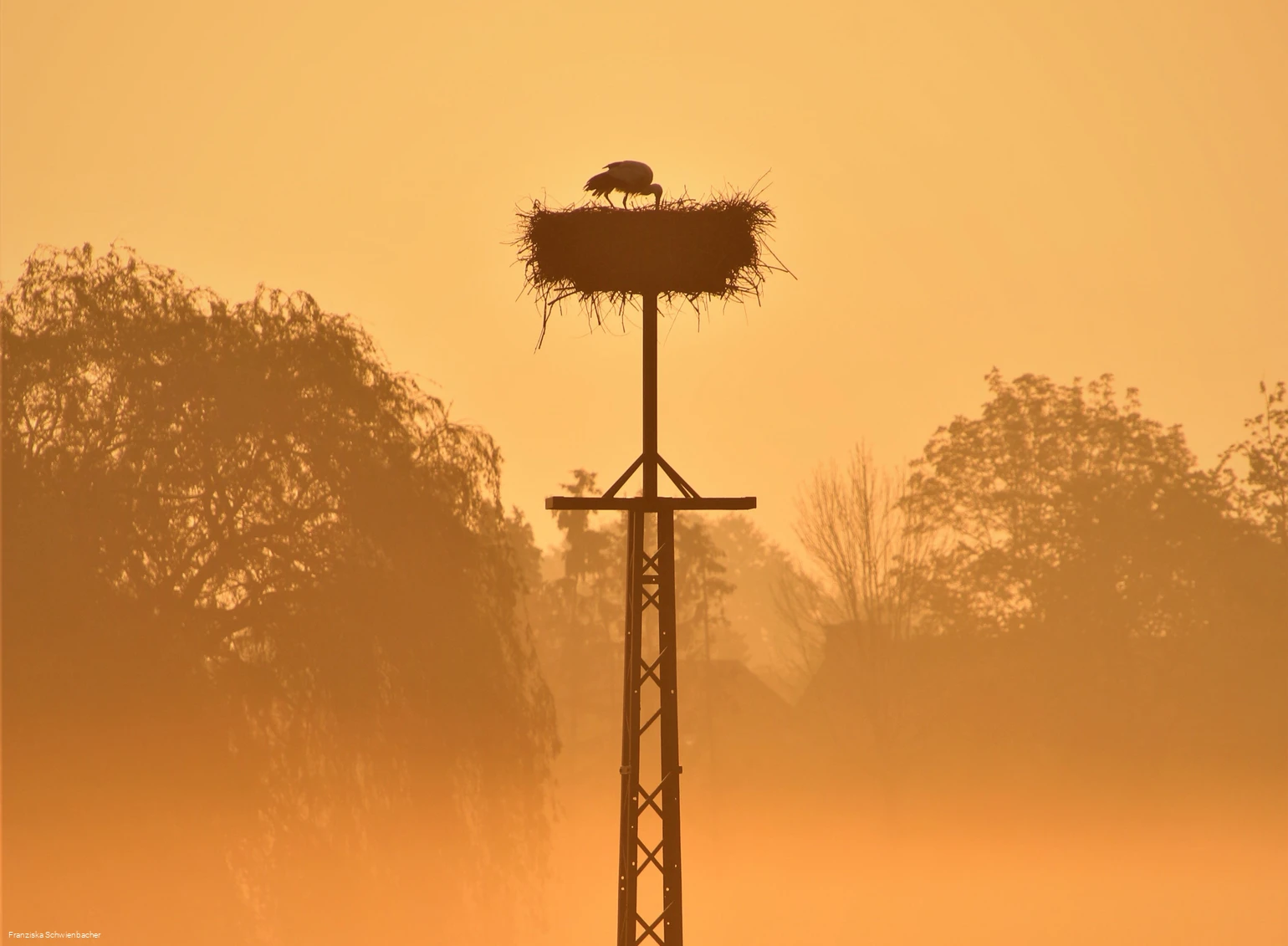 LIPPETAL - Der Storch ist aufgestanden (Franziska Schwienbacher) - quer.jpg