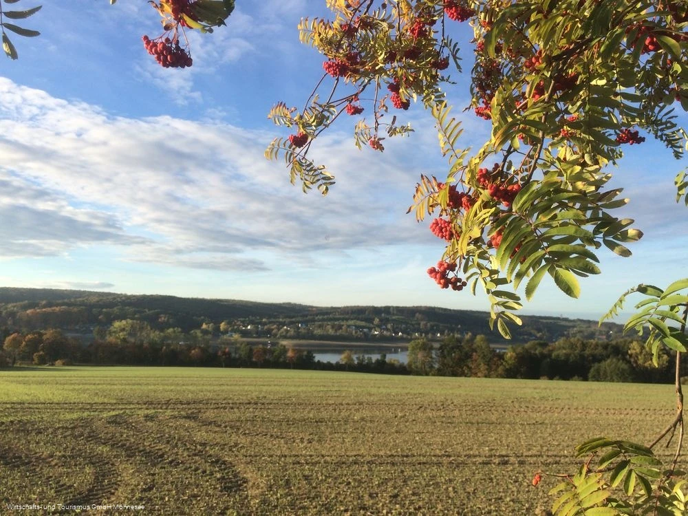 Feld Herbst Möhnesee