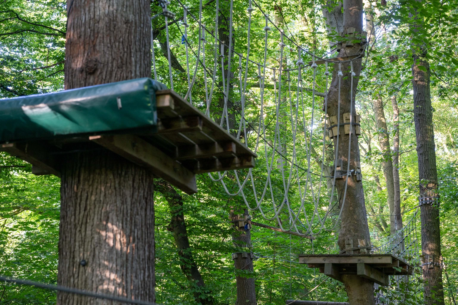 20240729_Kletterpark 2.jpg